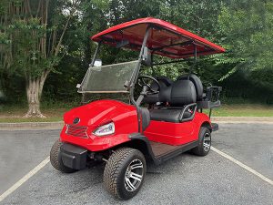 golf cart maintenance, melbourne golf cart service, battery service
